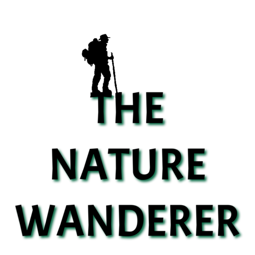 The Nature Wanderer
